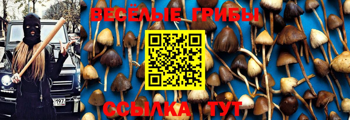 Псилоцибиновые грибы Magic Shrooms Кстово